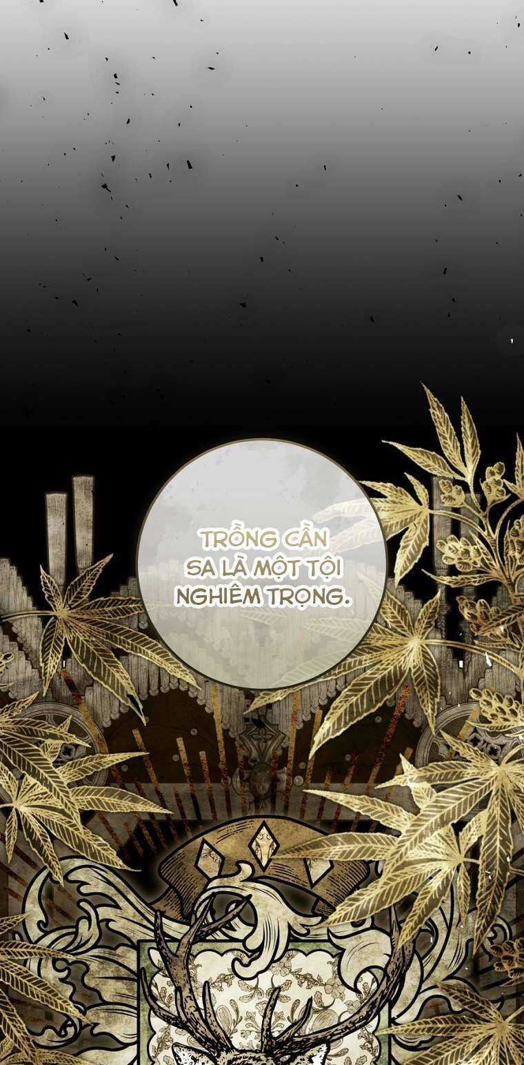 Kẻ Phản Diện Là Một Con Rối Chương 91 trang 7