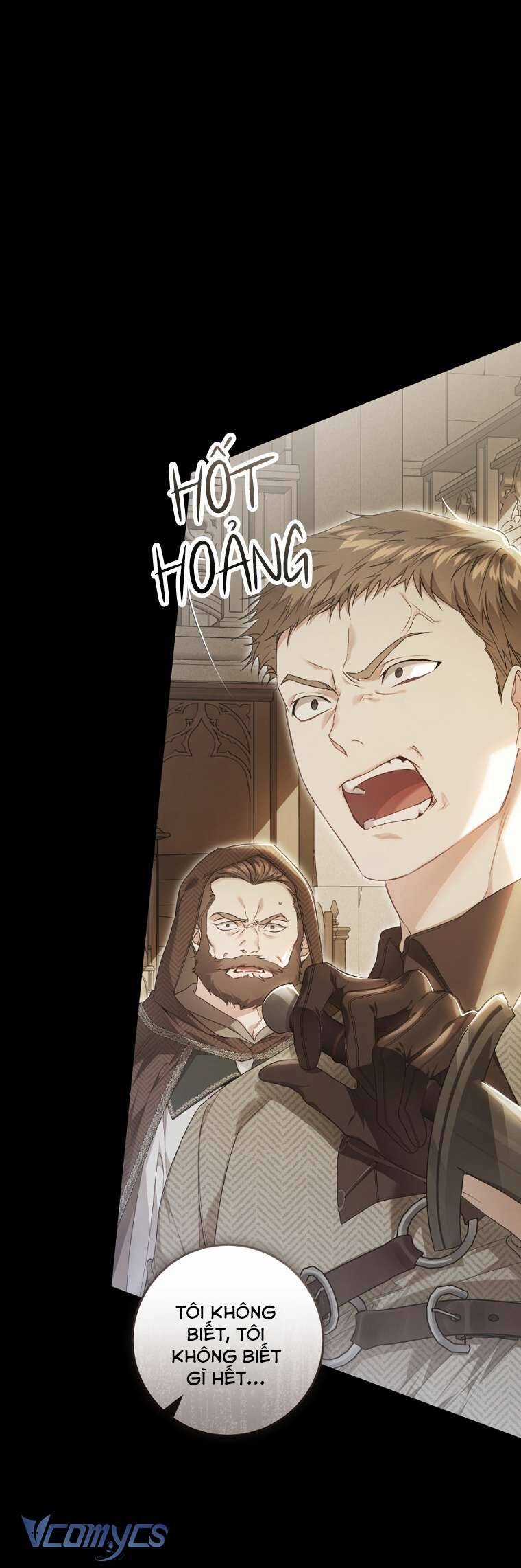 Kẻ Phản Diện Là Một Con Rối Chương 95 trang 17