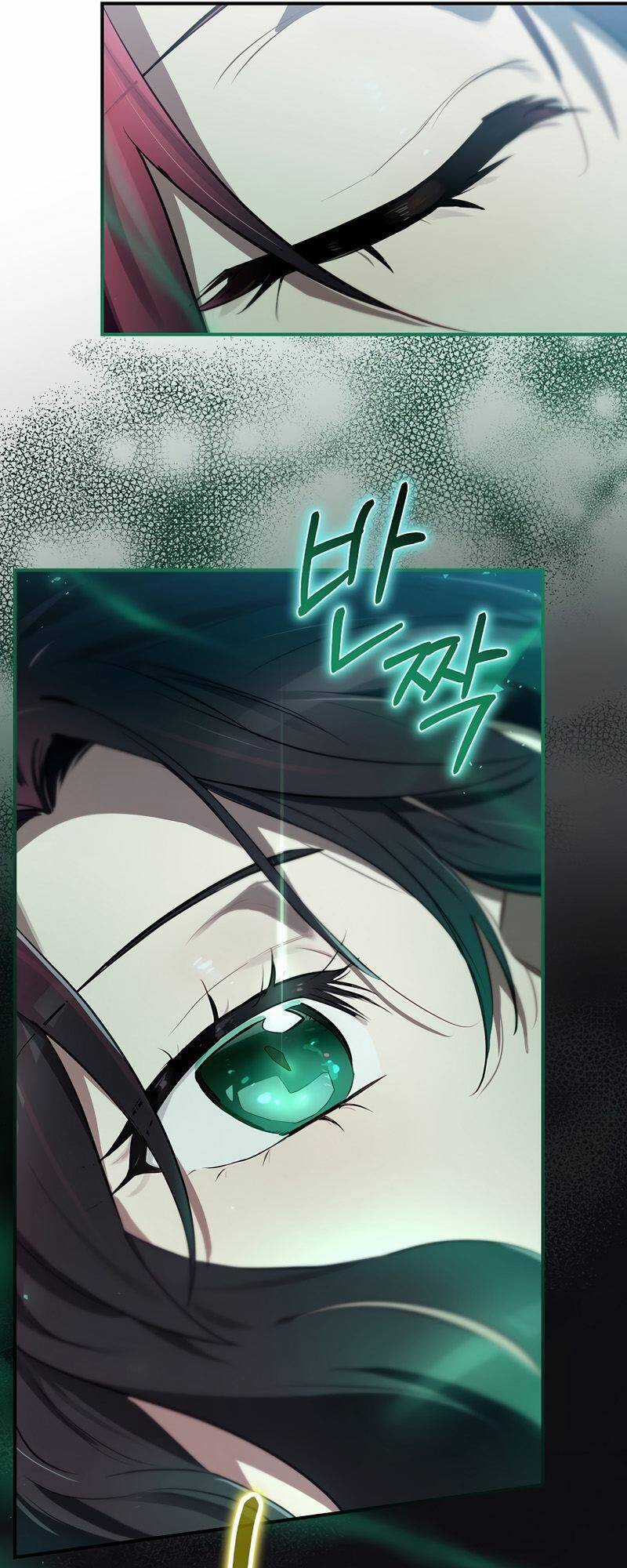 Kẻ Phán Quyết Chapter 40 trang 12