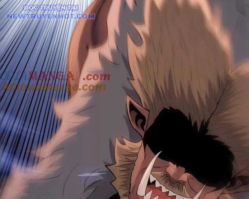 Kẻ Tàn Nhẫn Ngày Tận Thế: Bắt Đầu Dự Trữ Hàng Tỷ Tấn Vật Tư Chapter 50 trang 150