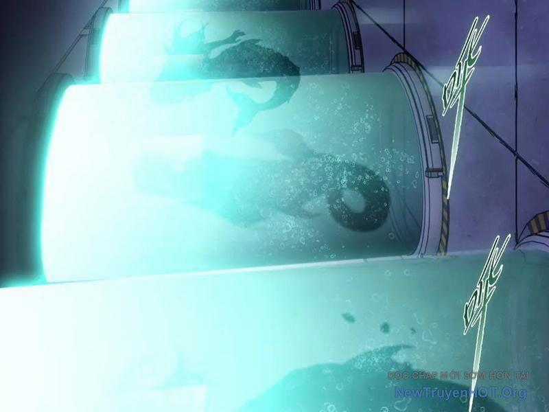 Kẻ Tàn Nhẫn Ngày Tận Thế: Bắt Đầu Dự Trữ Hàng Tỷ Tấn Vật Tư Chương 74 trang 149