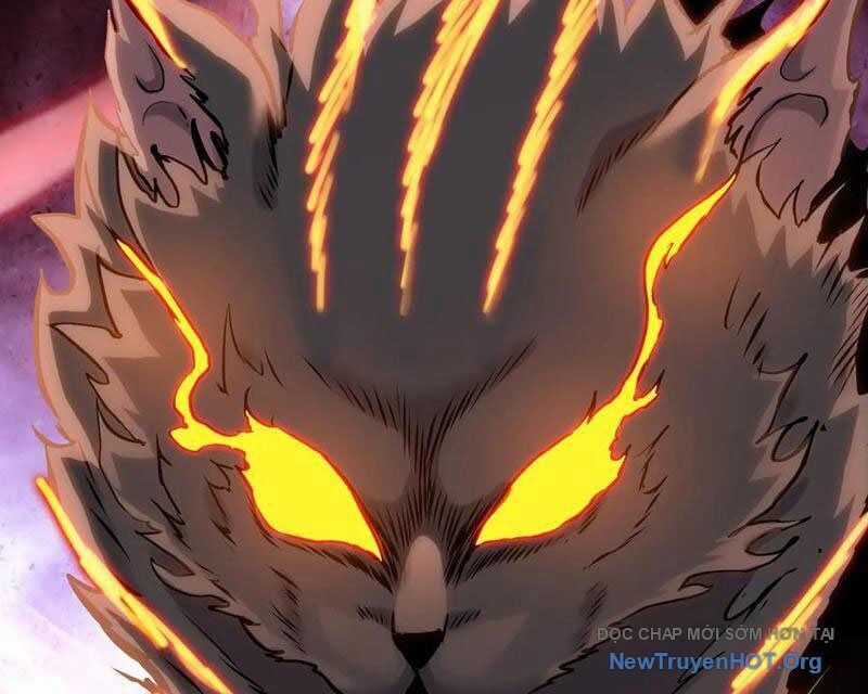 Kẻ Tàn Nhẫn Ngày Tận Thế: Bắt Đầu Dự Trữ Hàng Tỷ Tấn Vật Tư Chương 77 trang 101