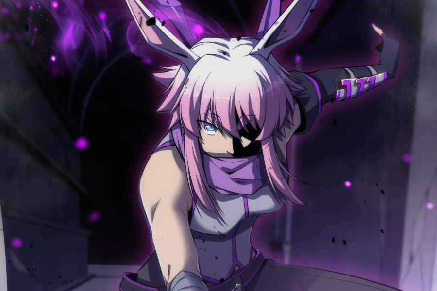 Kẻ Thách Đấu Chapter 11.5 trang 5