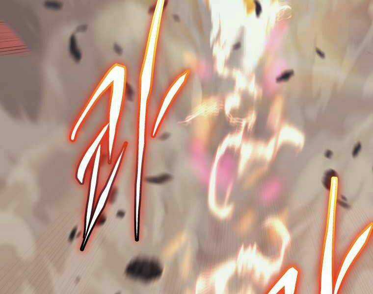 Kể Từ Bây Giờ, Tôi Là Một Người Chơi Chapter 37 trang 215