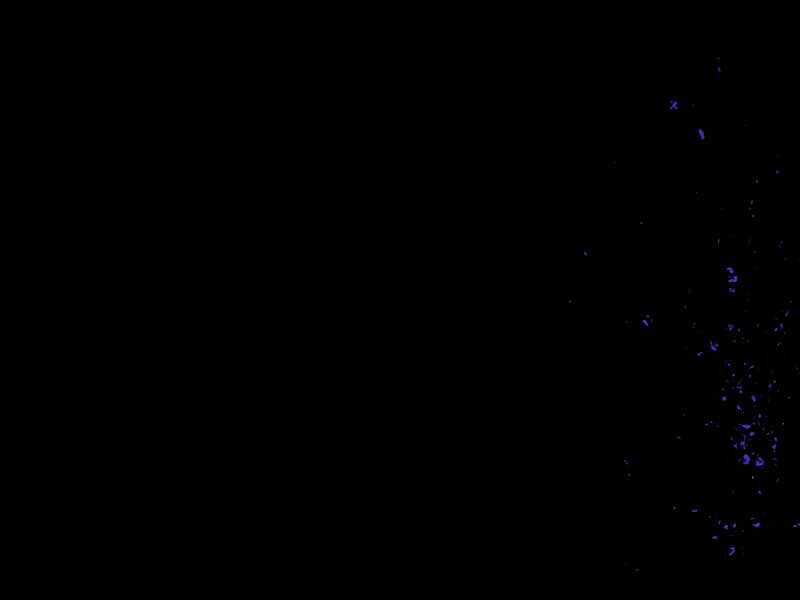 Kể Từ Bây Giờ, Tôi Là Một Người Chơi Chapter 39 trang 18