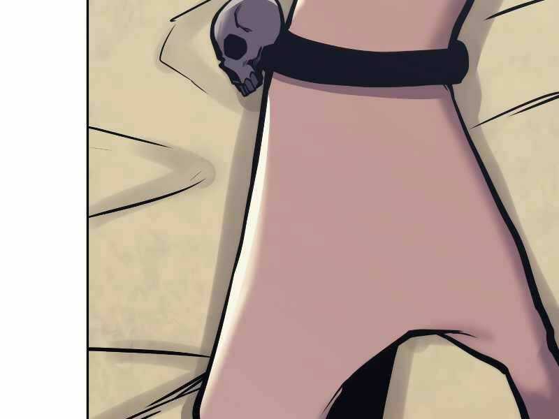 Kể Từ Bây Giờ, Tôi Là Một Người Chơi Chapter 40 trang 173