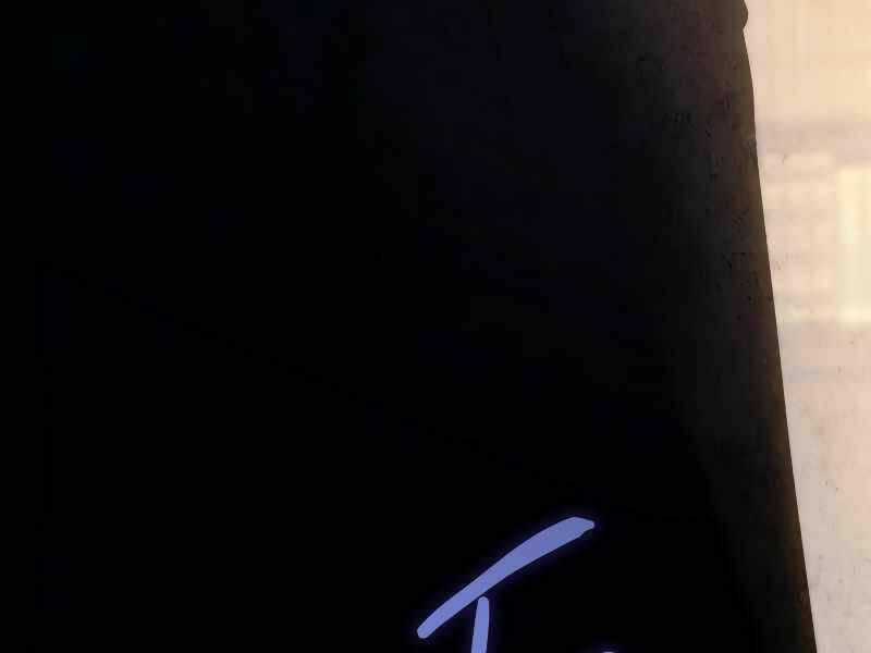 Kể Từ Bây Giờ, Tôi Là Một Người Chơi Chapter 40 trang 246