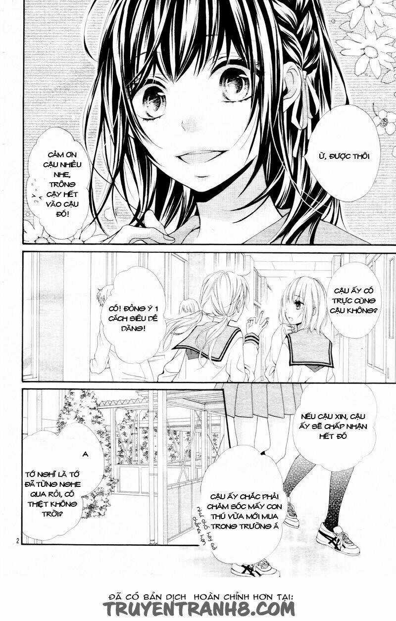 Kedamonozakari, Koizakari Chapter 1 trang 3