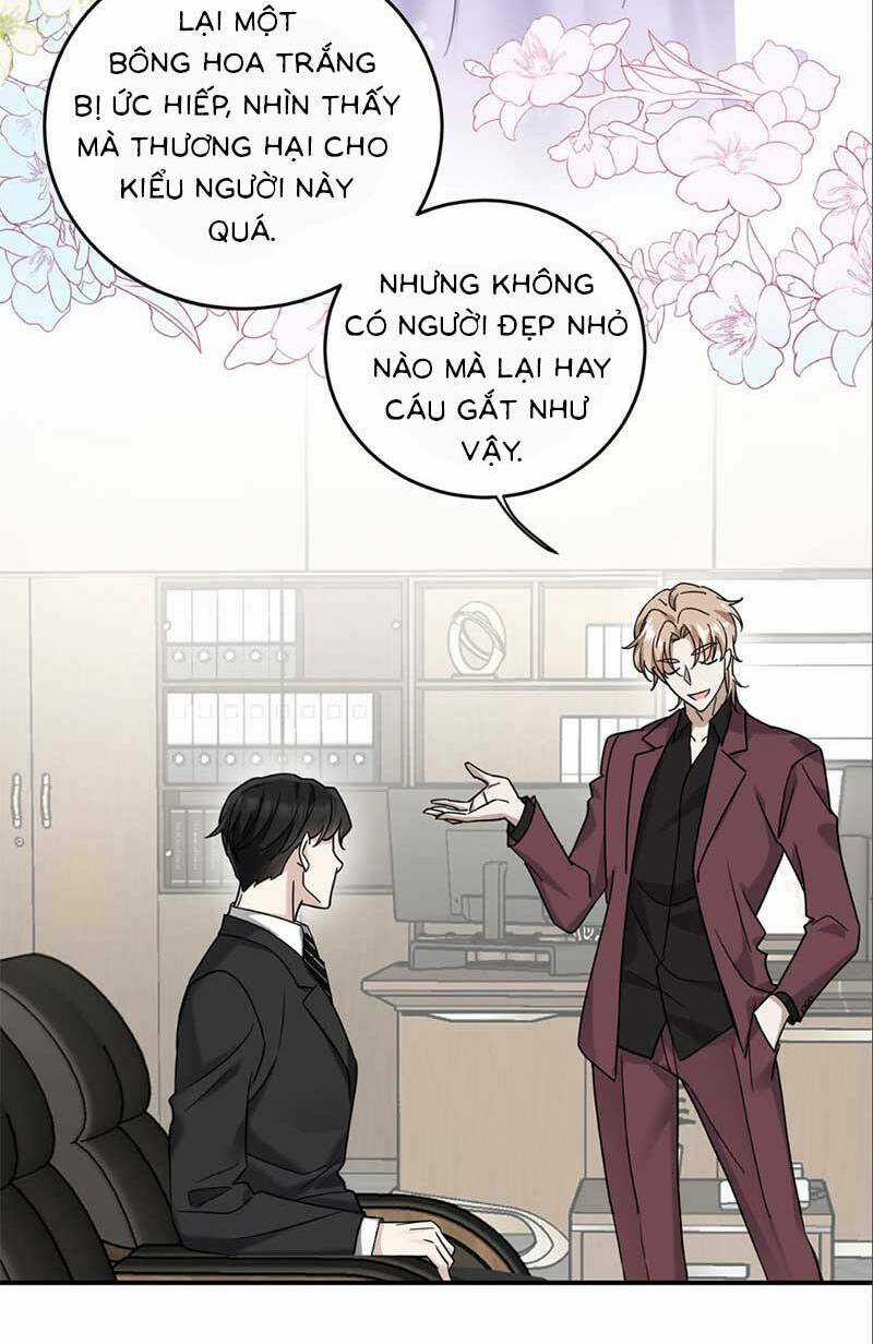 Kết Đẹp Với Chú Út Kiếp Trước Sau Chia Tay Chapter 8 trang 22