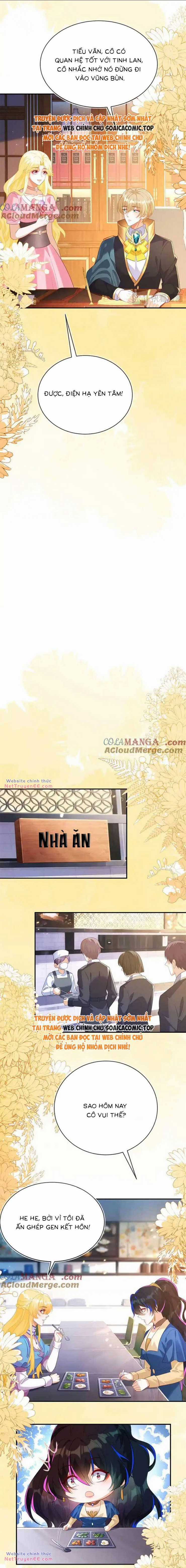 Kết Hôn Với Người Quyền Lực Nhất Hành Tinh Chapter 44 trang 6