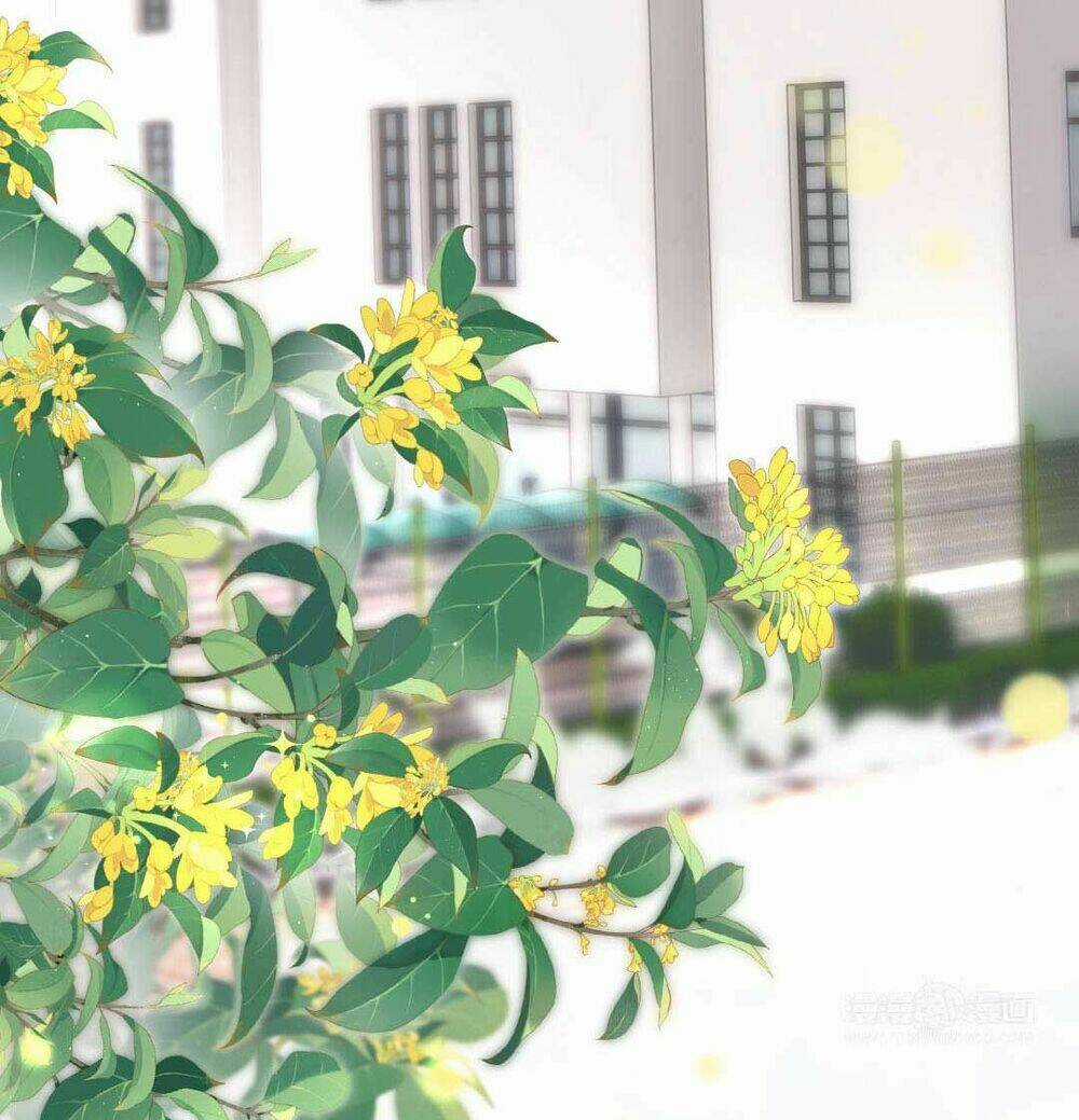 Khảo Nghiệm Cuối Cùng Của Tra Nữ Chapter 13 trang 36