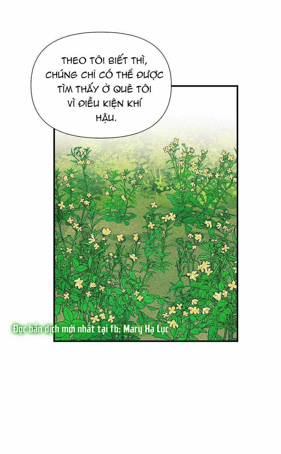 Khế Ước Của Nữ Công Tước Quái Vật Chapter 103 trang 62