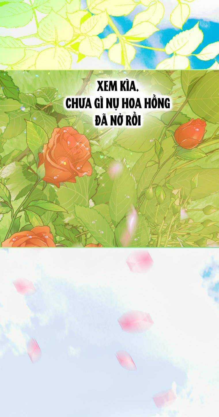 Khế Ước Hôn Nhân Của Mẹ Tôi Chapter 18 trang 40