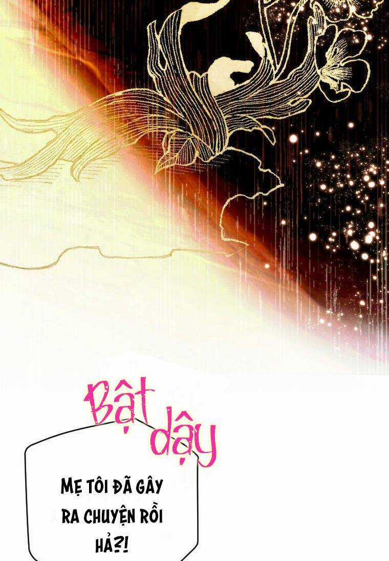 Khế Ước Hôn Nhân Của Mẹ Tôi Chapter 4 trang 13