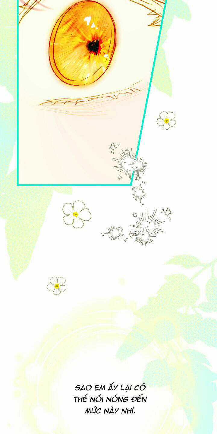 Khế Ước Hôn Nhân Của Mẹ Tôi Chapter 42 trang 73