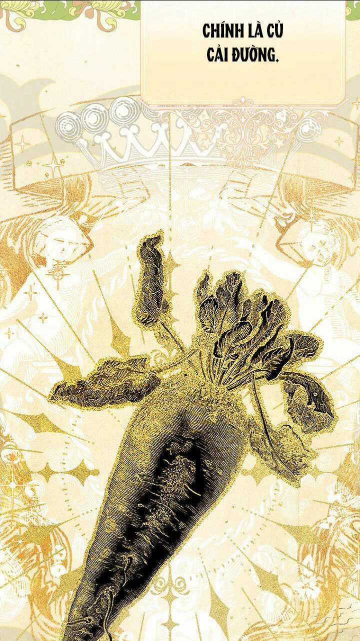 Khế Ước Hôn Nhân Của Mẹ Tôi Chapter 60 trang 13