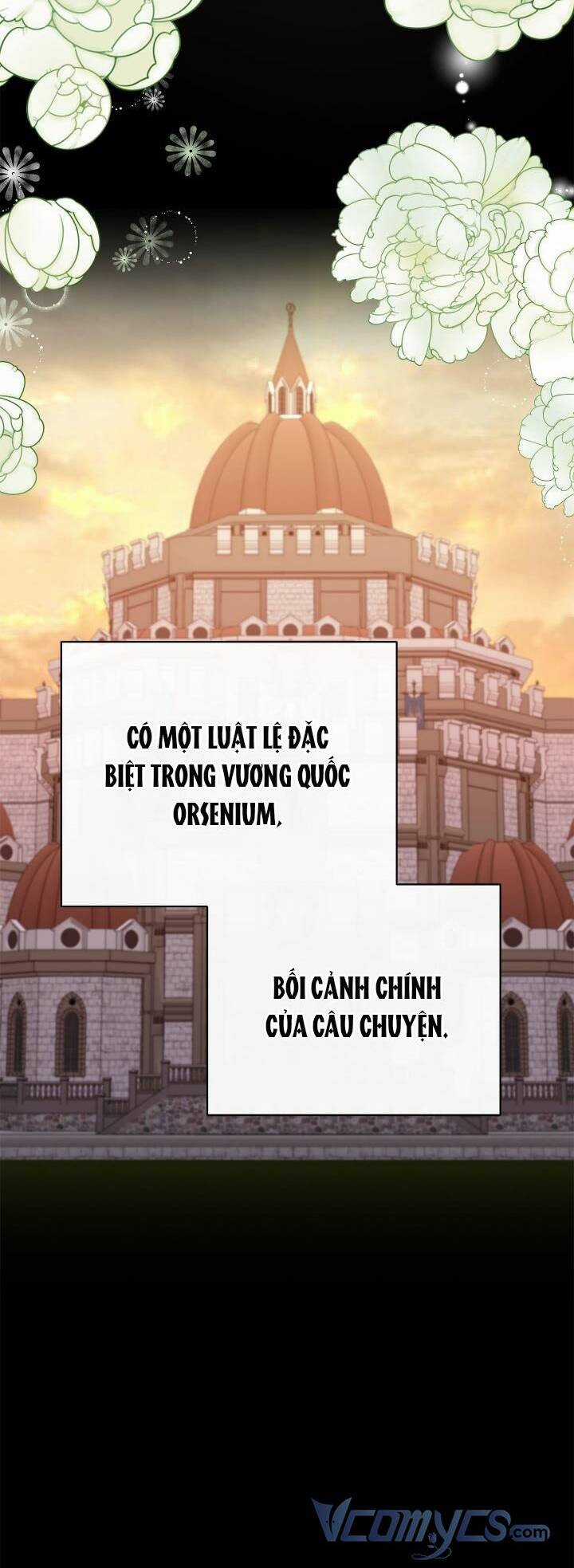 Khi Con Gái Của Phù Thuỷ Phá Giải Lời Nguyền Của Nam Chính Chapter 9 trang 44