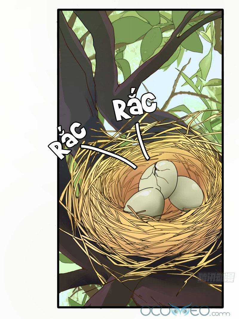 Khi Đóa Hoa Sẫm Màu Nở Rộ Chapter 3 trang 31