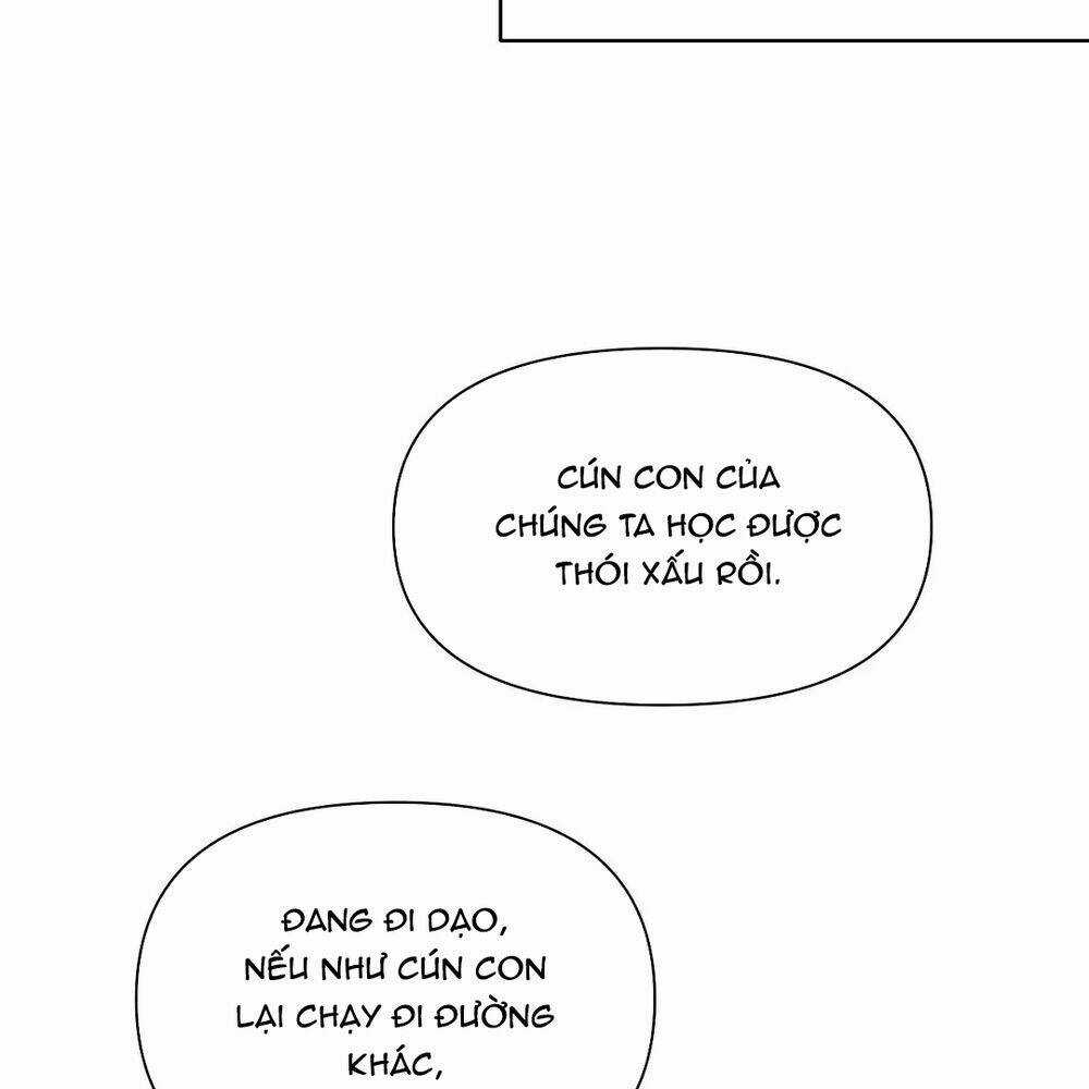 Khi Đôi Chân Thôi Bước Chapter 43 trang 41