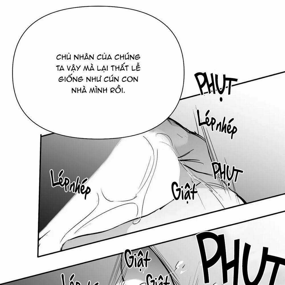 Khi Đôi Chân Thôi Bước Chapter 48 trang 12