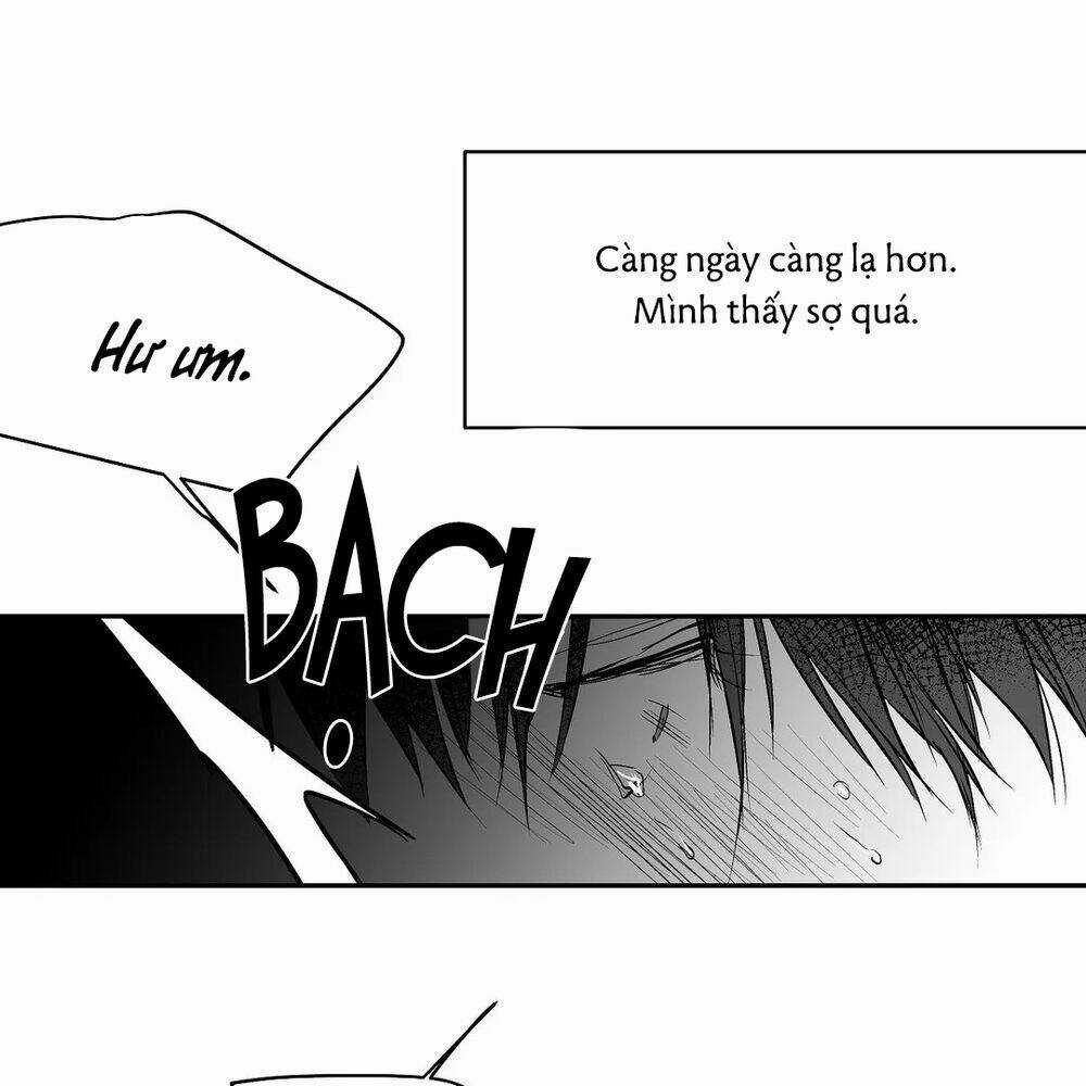 Khi Đôi Chân Thôi Bước Chapter 48 trang 19