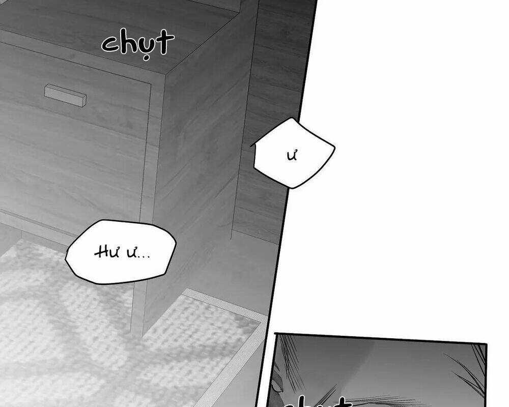 Khi Đôi Chân Thôi Bước Chapter 52 trang 5