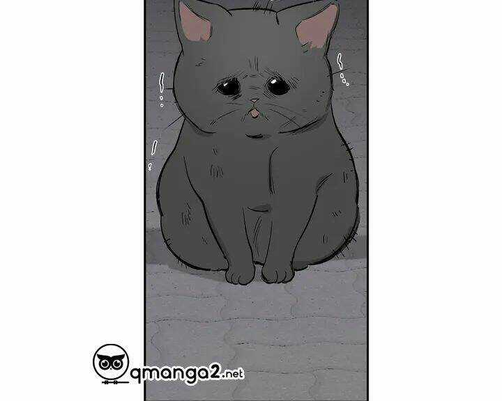 Khi Đôi Chân Thôi Bước Chapter 62.5 trang 9