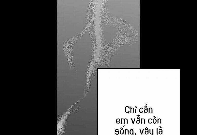 Khi Đôi Chân Thôi Bước Chapter 67 trang 206