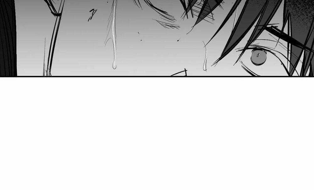 Khi Đôi Chân Thôi Bước Chapter 71 trang 12