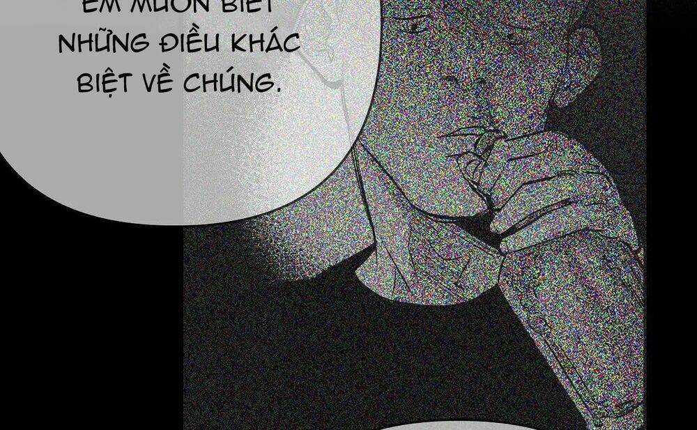 Khi Đôi Chân Thôi Bước Chapter 71 trang 206