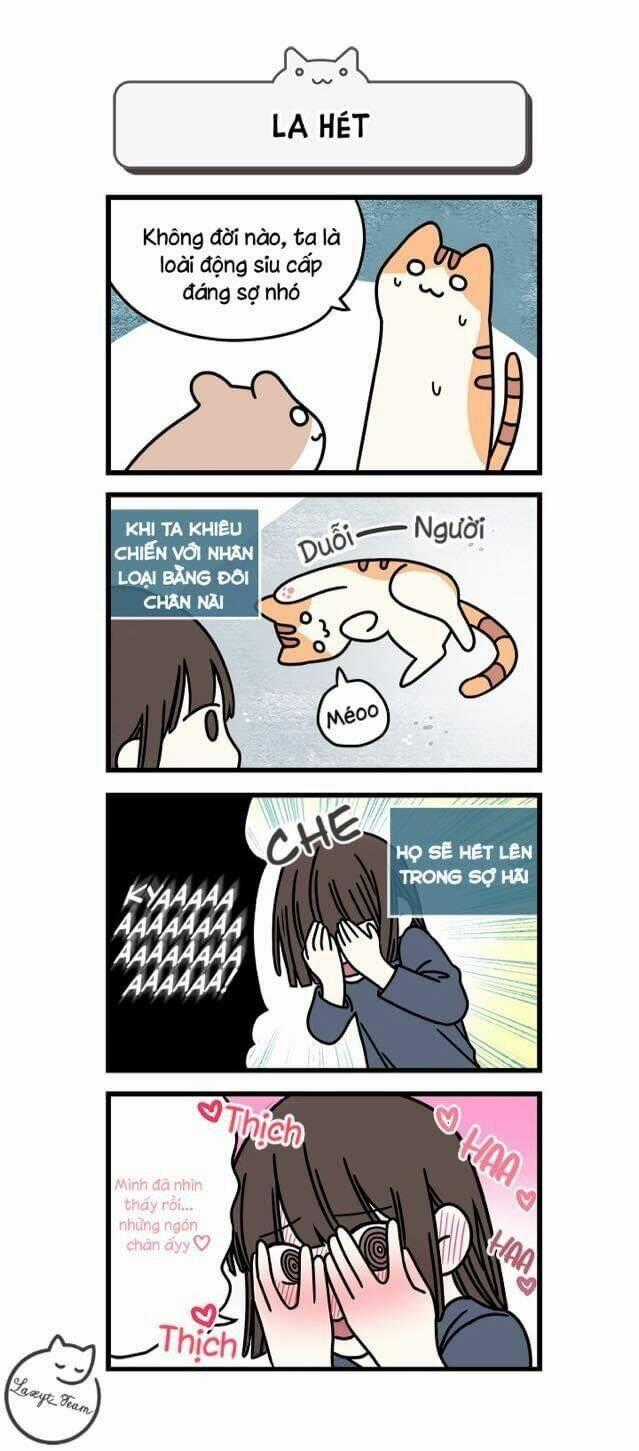 Khi Loài Mèo Làm Bá Chủ Thế Giới Chapter 1 trang 6