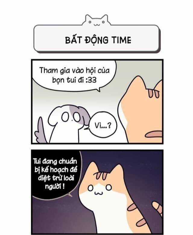 Khi Loài Mèo Làm Bá Chủ Thế Giới Chapter 2 trang 2