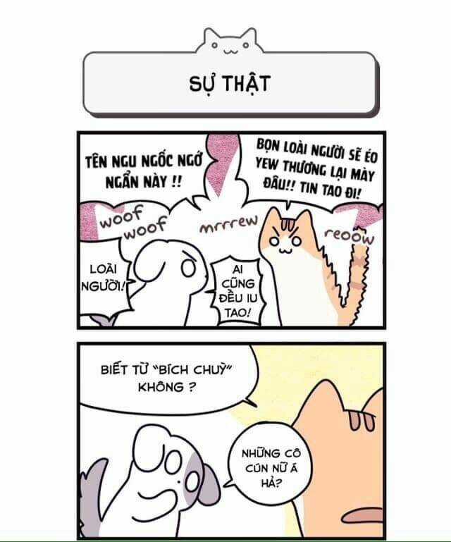 Khi Loài Mèo Làm Bá Chủ Thế Giới Chapter 2 trang 4