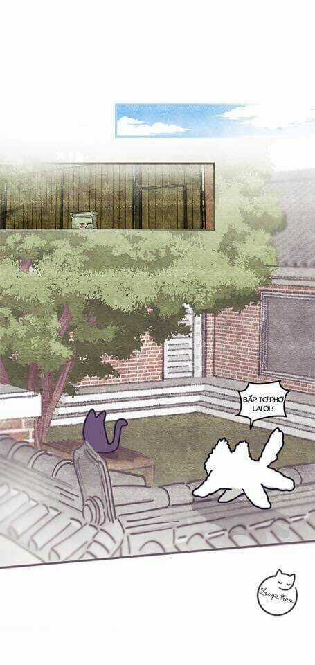 Khi Loài Mèo Làm Bá Chủ Thế Giới Chapter 2 trang 6