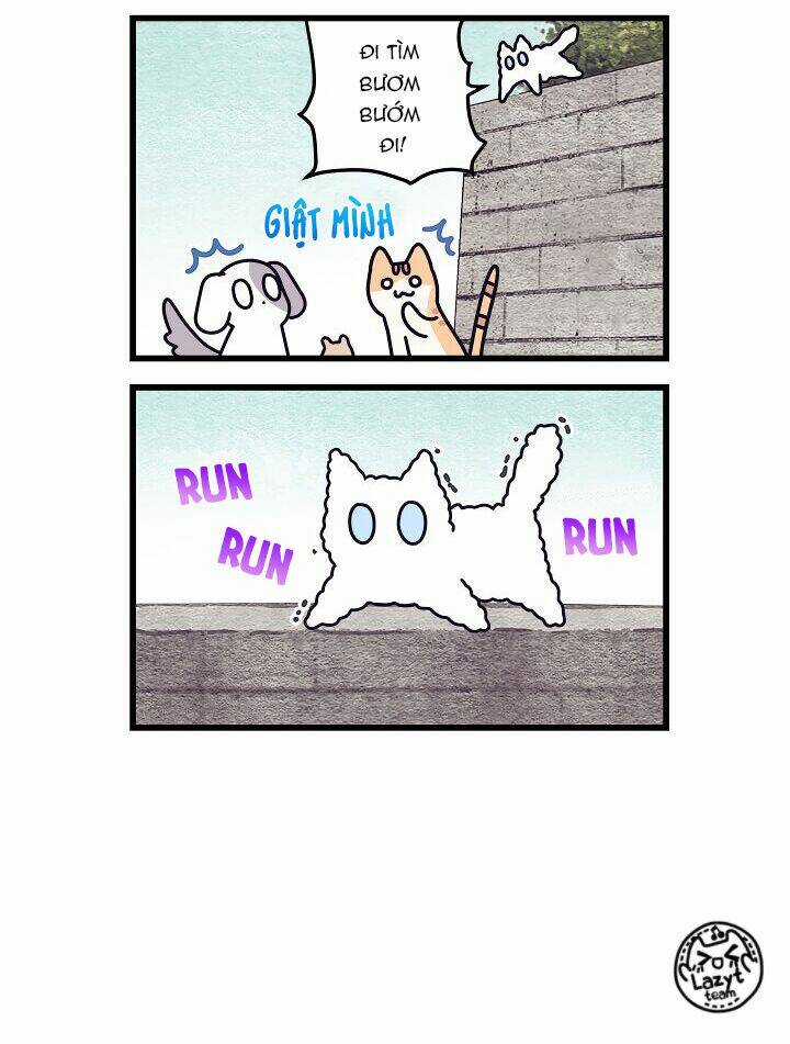 Khi Loài Mèo Làm Bá Chủ Thế Giới Chapter 3 trang 9