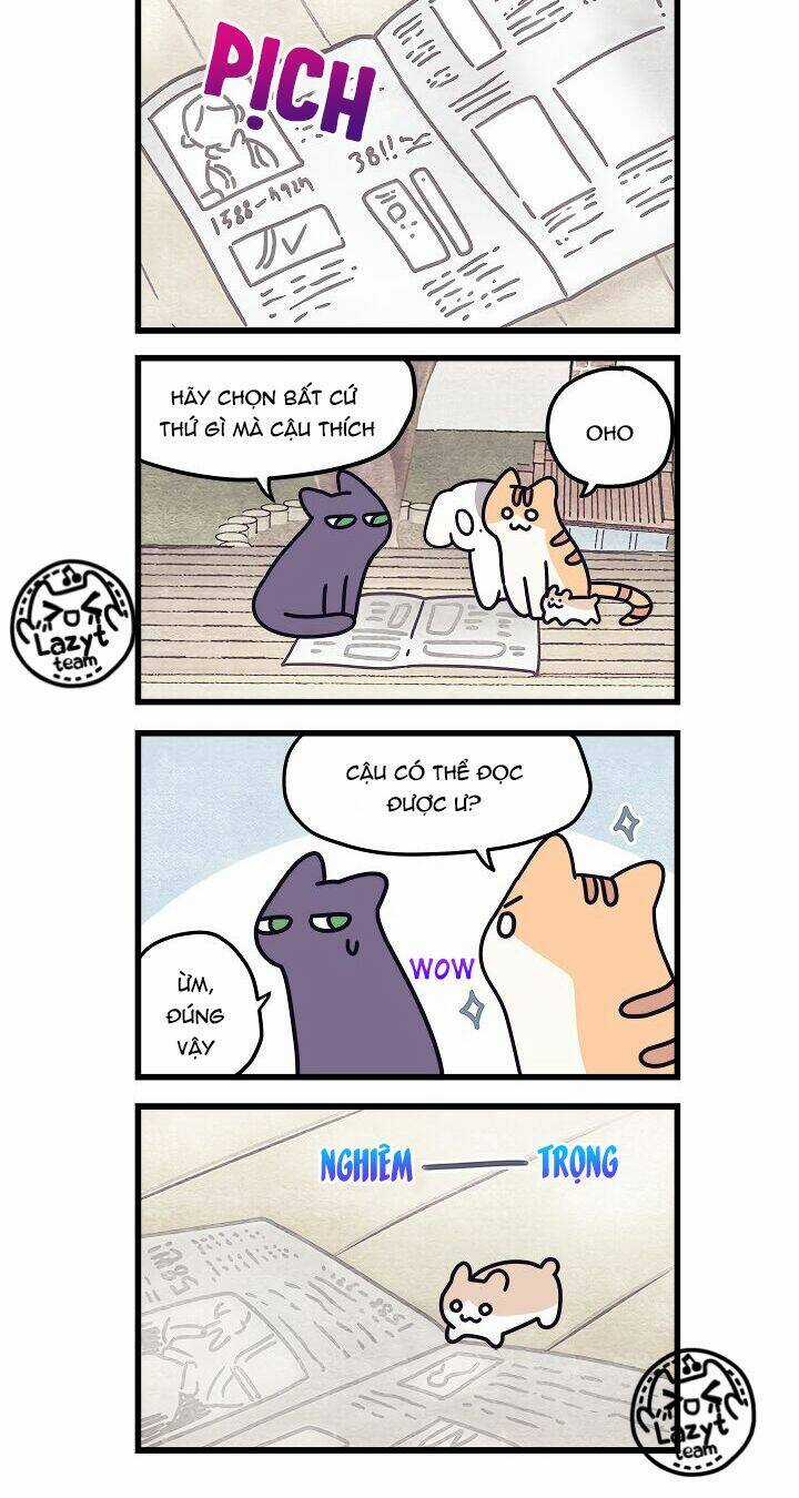 Khi Loài Mèo Làm Bá Chủ Thế Giới Chapter 4 trang 3