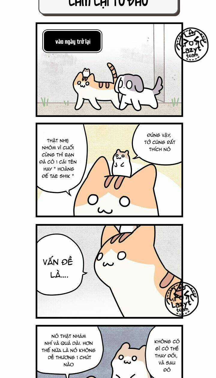 Khi Loài Mèo Làm Bá Chủ Thế Giới Chapter 4 trang 5