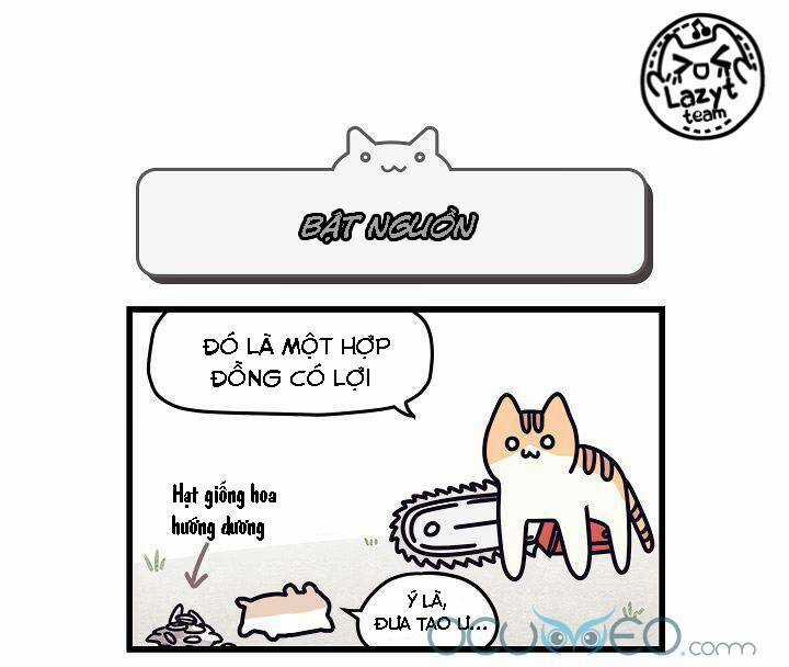 Khi Loài Mèo Làm Bá Chủ Thế Giới Chapter 5 trang 7
