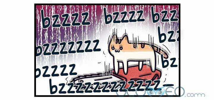 Khi Loài Mèo Làm Bá Chủ Thế Giới Chapter 5 trang 9