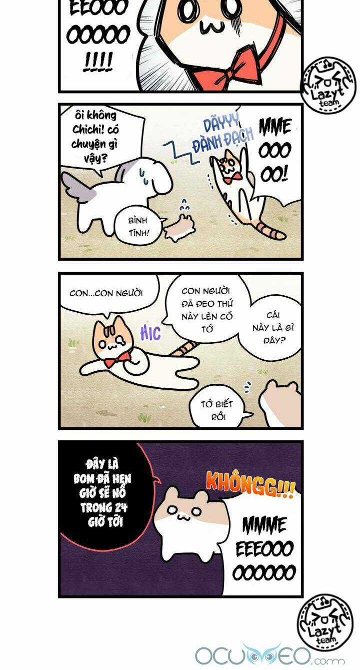 Khi Loài Mèo Làm Bá Chủ Thế Giới Chapter 6 trang 3