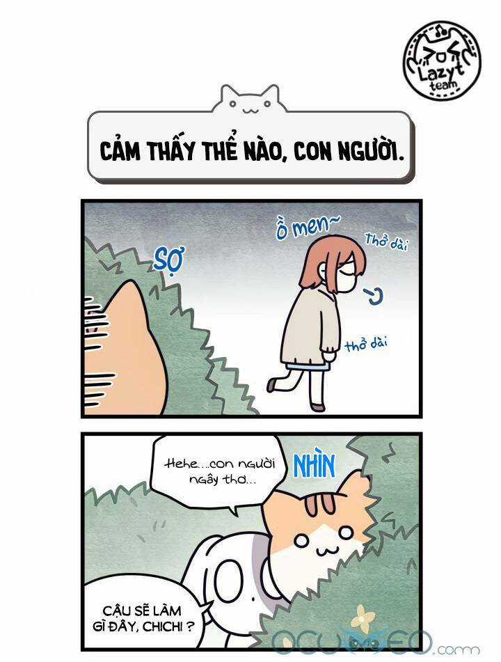 Khi Loài Mèo Làm Bá Chủ Thế Giới Chapter 7 trang 4