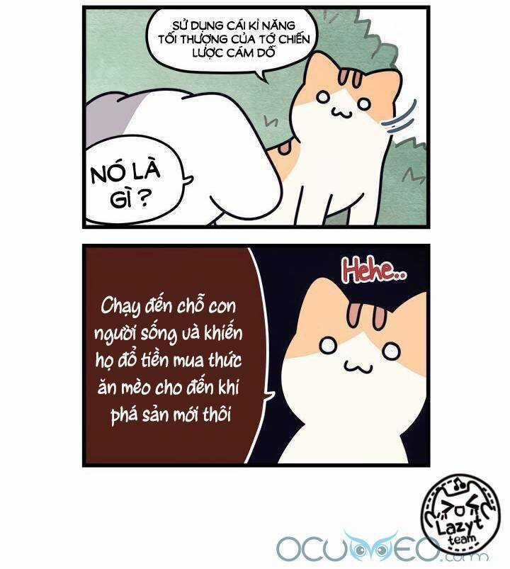 Khi Loài Mèo Làm Bá Chủ Thế Giới Chapter 7 trang 5