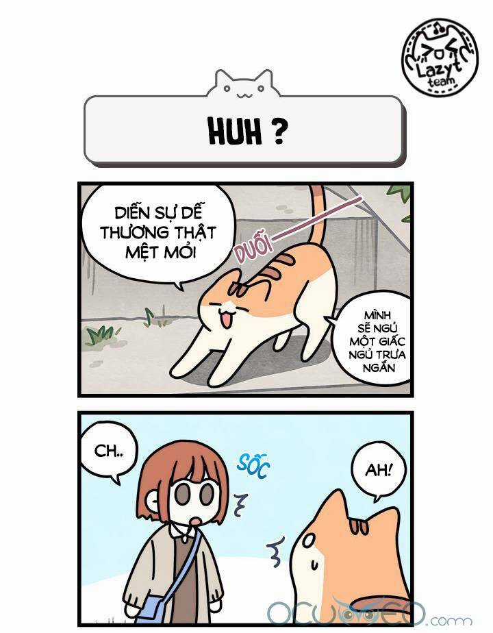 Khi Loài Mèo Làm Bá Chủ Thế Giới Chapter 7 trang 8