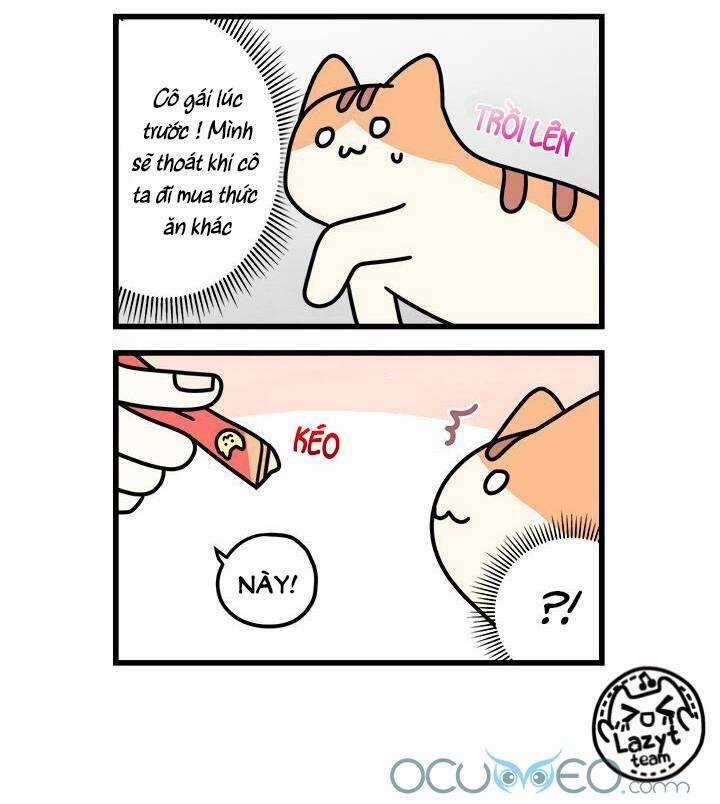 Khi Loài Mèo Làm Bá Chủ Thế Giới Chapter 7 trang 9