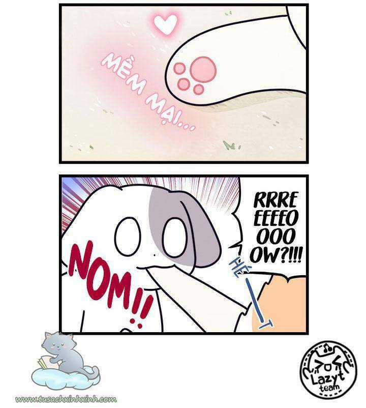 Khi Loài Mèo Làm Bá Chủ Thế Giới Chapter 8 trang 6