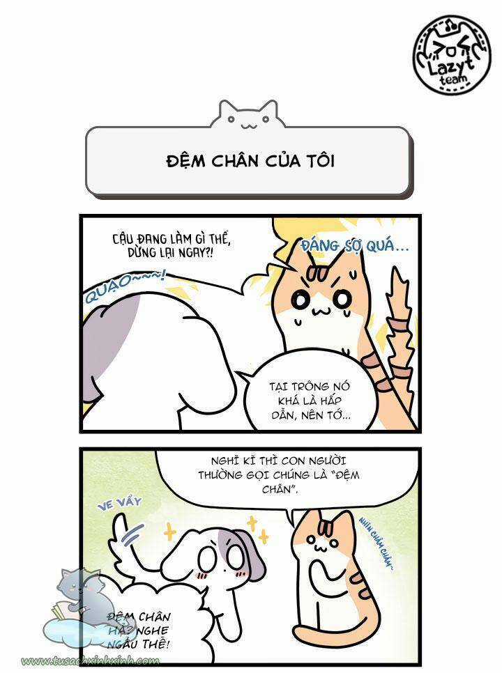 Khi Loài Mèo Làm Bá Chủ Thế Giới Chapter 8 trang 7
