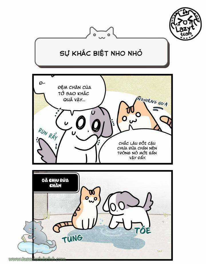 Khi Loài Mèo Làm Bá Chủ Thế Giới Chapter 8 trang 9