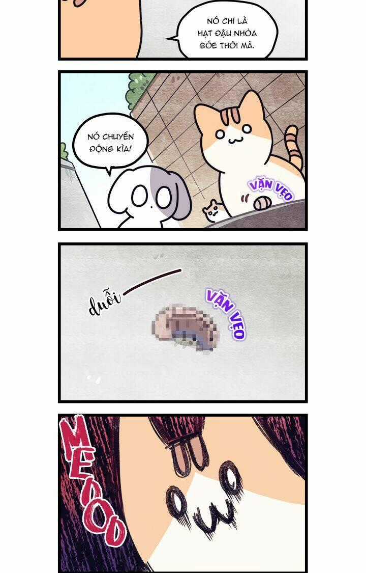 Khi Loài Mèo Làm Bá Chủ Thế Giới Chapter 9 trang 6