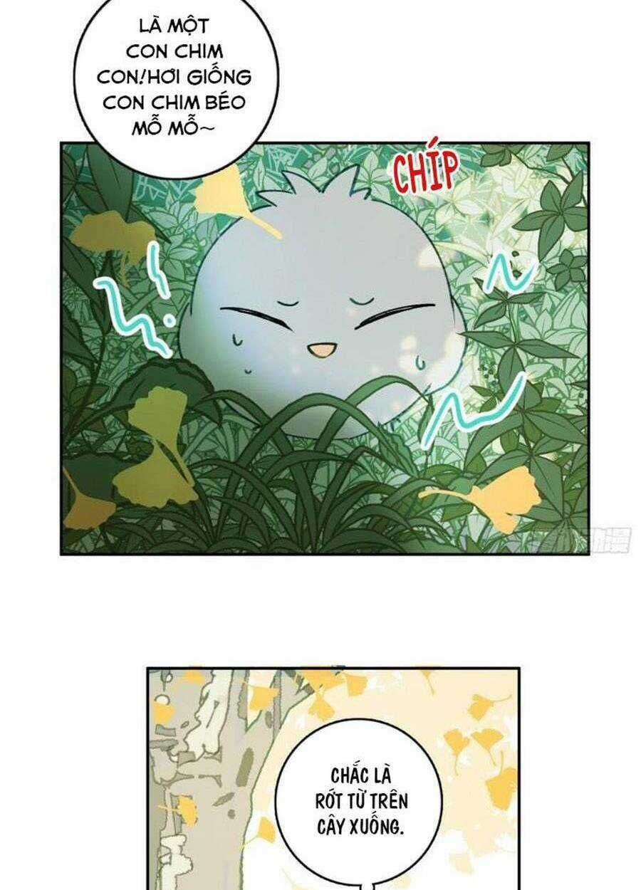 Khi Mộng Thần Yêu Chapter 74 trang 27