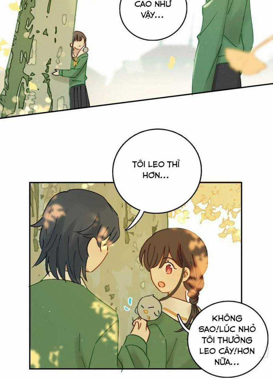 Khi Mộng Thần Yêu Chapter 74 trang 31